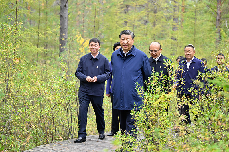 9月6日至8日，中共中央总书记、国度主席、中央军委主席习近平在黑龙江调查。这是6日下午，习近平在大兴安岭地域漠河市漠河林场天然林区调查